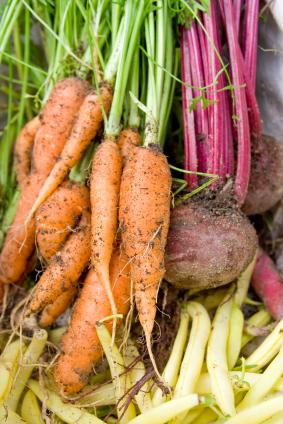Fresh vegetables from the garden are best.