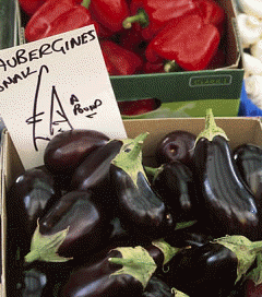 Eggplant.gif