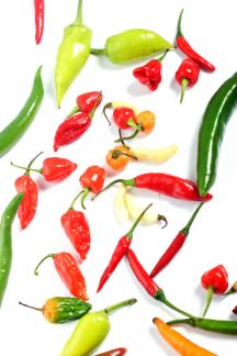 chili peppers