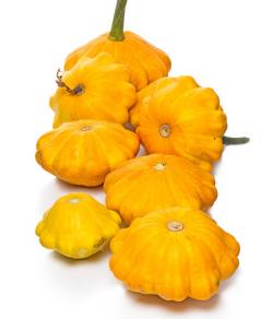 Paddypan squash
