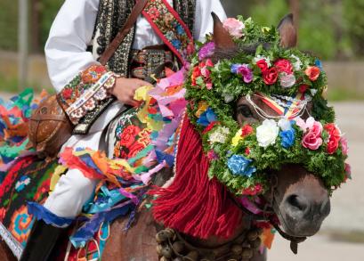 horse with flowers