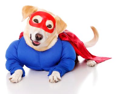 Superhero costume
