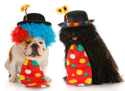 dog clowns