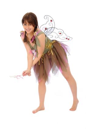 fairy