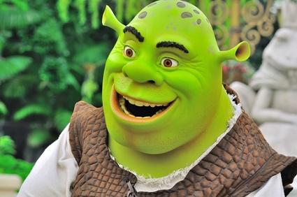 Shrek costume