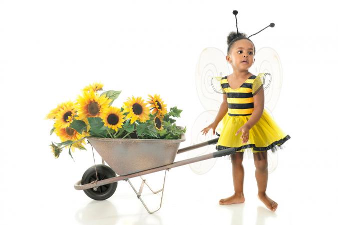 Adorable Worker Bee