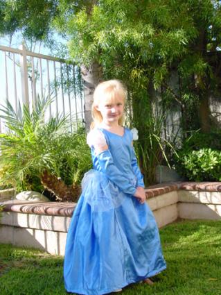 Homemade Cinderella costume.