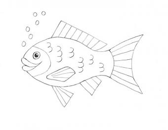 How To Draw A Fish Lovetoknow