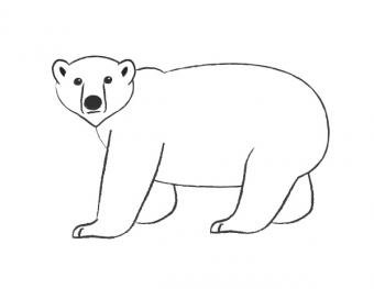 How To Draw A Polar Bear Lovetoknow