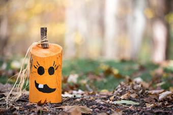 Rustic wooden pumpkin craft