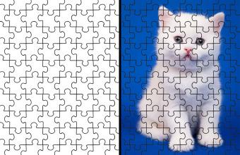 cat puzzle
