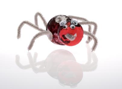 spider craft