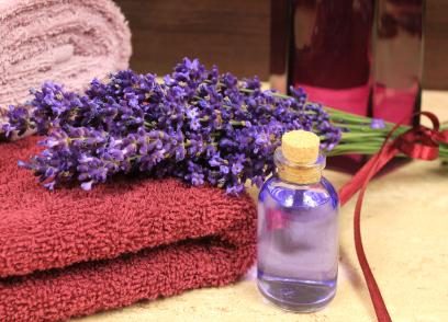 Lavender Aloe lotion