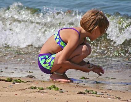 collecting shells on the beach