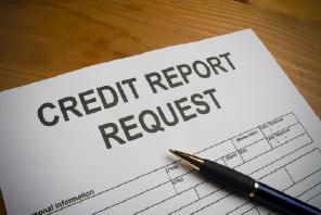 Credit Report