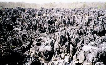 Coral formations in Hell Village