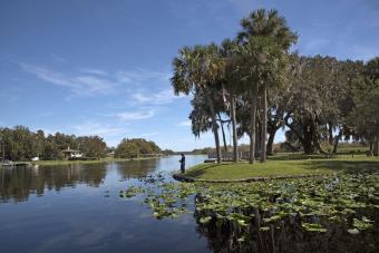 St. Johns River