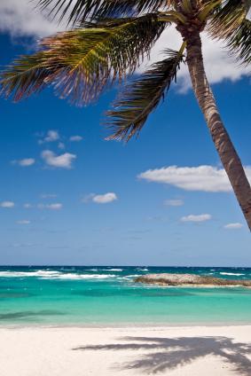 Paradise_Island.jpg