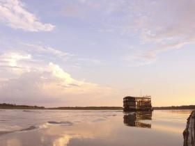 The Amazon