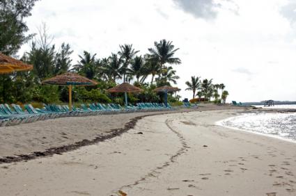 Cococay
