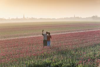 Couple standing in giant tulip field taking a photo