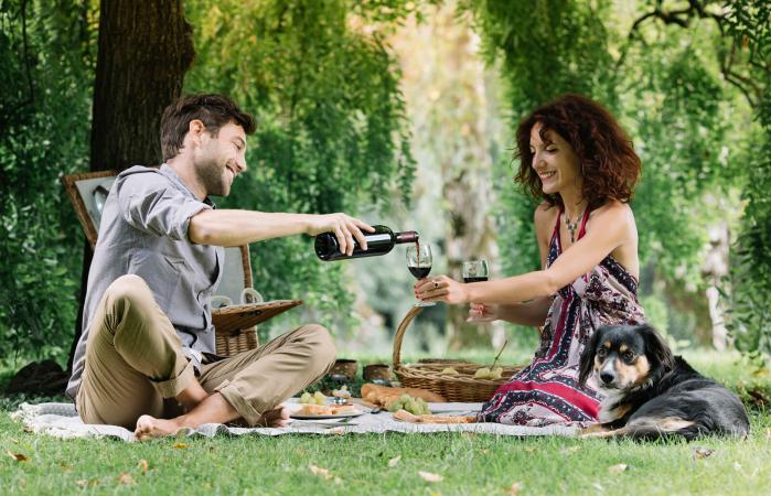 Couple having a picnic