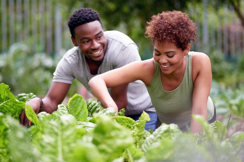 100 Fun Activities for Couples (That You'll Both Love) LoveToKnow