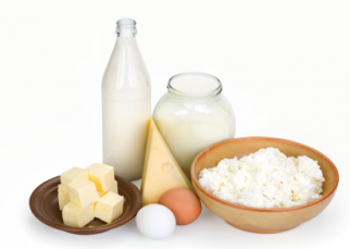 dairy products