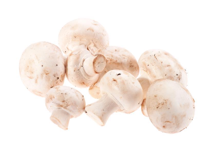 10 Foods High in Vitamin D LoveToKnow Health & Wellness