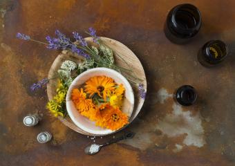 homeopathic plants