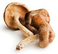 Shiitake Mushrooms