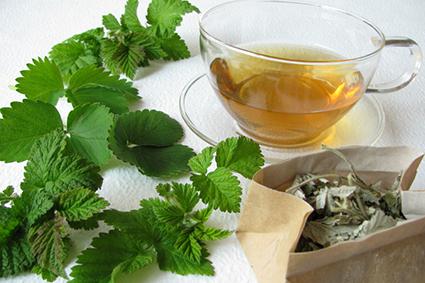 Raspberry Leaf Tea