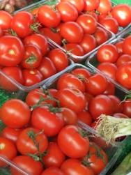 tomatoes