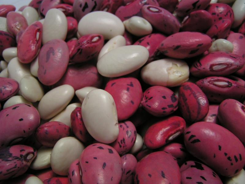 beans can cause gas