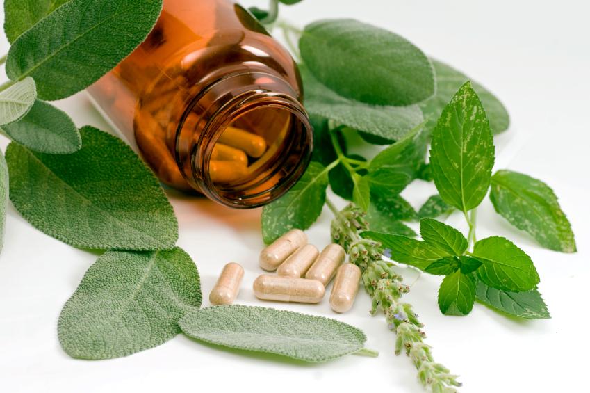 Herbs for Medical Use LoveToKnow Health & Wellness