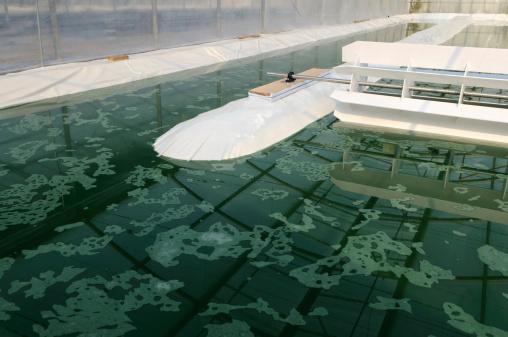 spirulina farm
