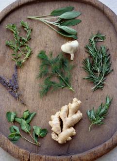 Healthy Herbs, Garlic, and Ginger Root on a Tray