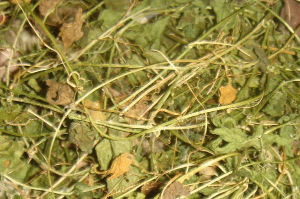 Dried Cerasee leaves
