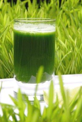 Green Health Drinks vs. Eating Vegetables: Which Is Better for You? 