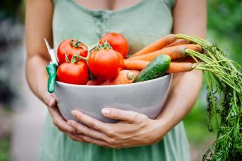 Fresh Harvest