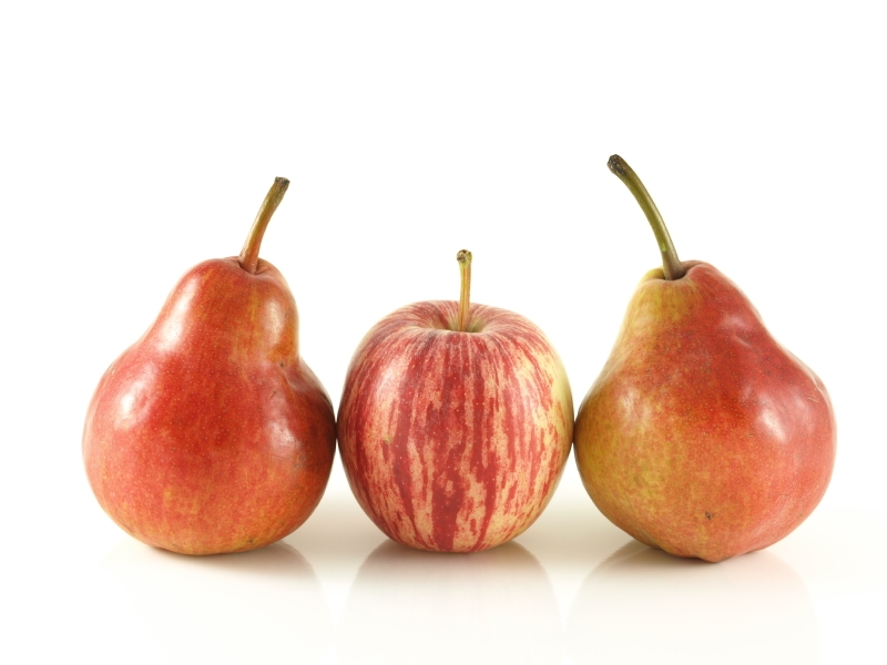 What Are the Best Fruits to Eat While Dieting? LoveToKnow