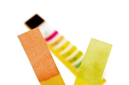 Litmus strips