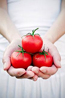 tomatos