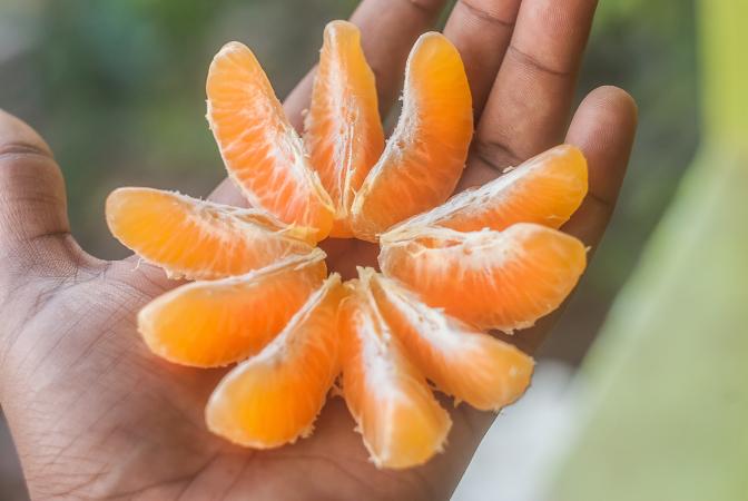orange segments