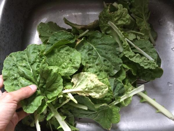 Leafy Vegetables In Kitchen Sink