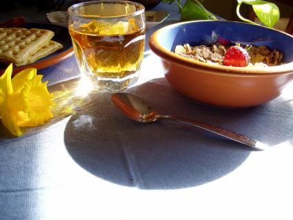 healthy diet balanced nutrition