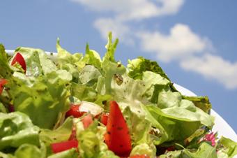 vegetarian diet plans