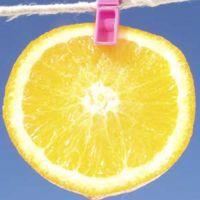 Orange_Slice.jpg