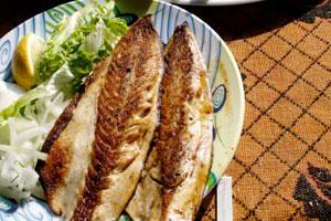 diabetic meal