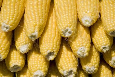 Corn